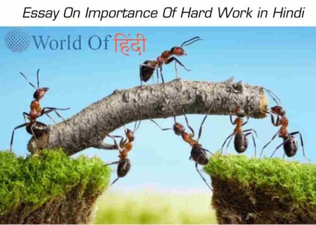 Essay On Importance Of Hard Work in Hindi