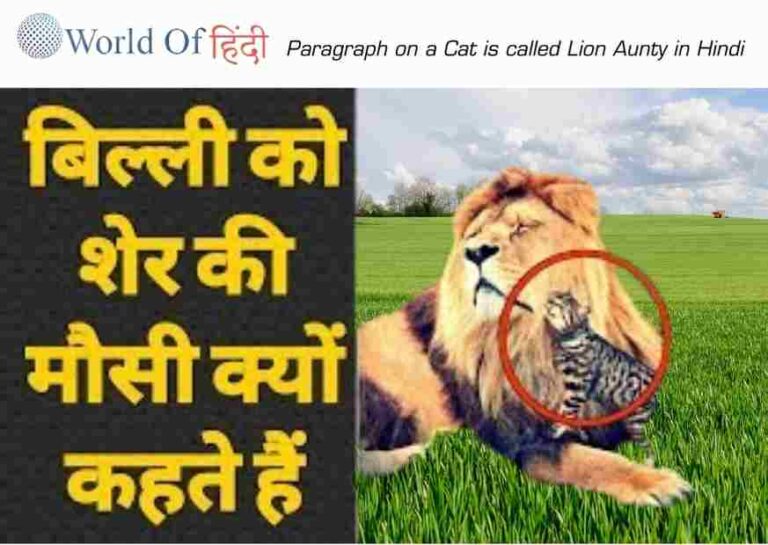 essay on lion in hindi