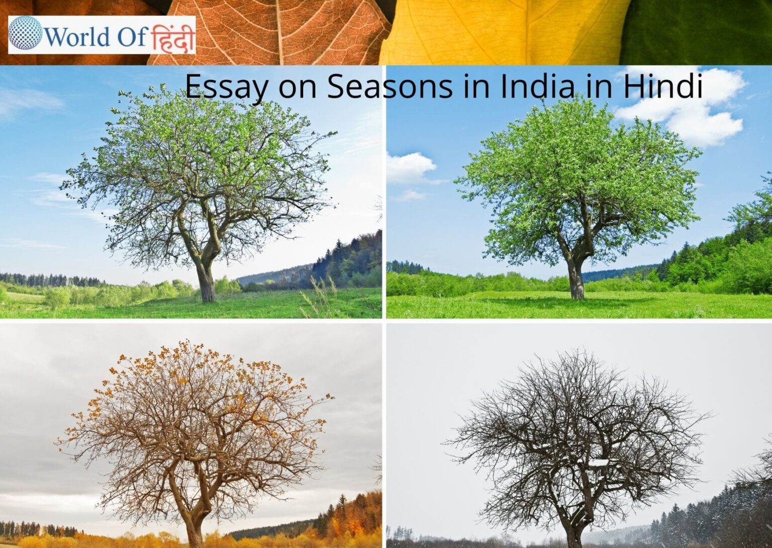 short essay on seasons in india in hindi